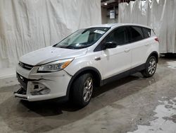 Salvage cars for sale from Copart Leroy, NY: 2013 Ford Escape SEL