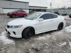 Vehiculos salvage en venta de Copart Leroy, NY: 2013 Honda Accord EXL