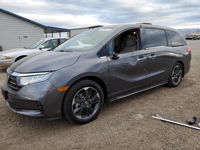 2024 Honda Odyssey Elite