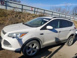 2014 Ford Escape SE for sale in Davison, MI