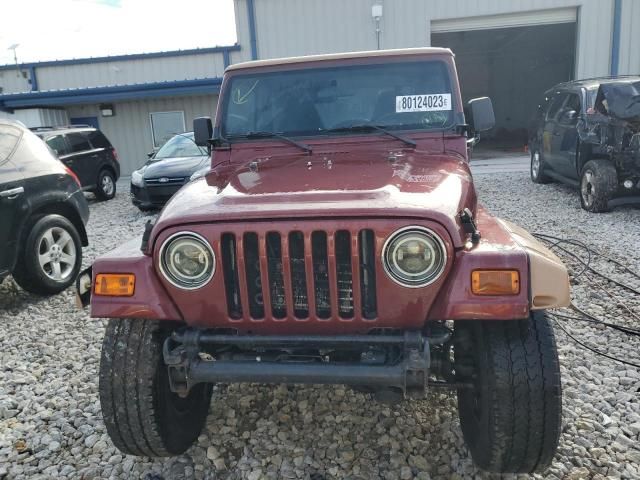 2002 Jeep Wrangler / TJ Sahara