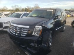 Salvage cars for sale at Madisonville, TN auction: 2008 Cadillac Escalade Luxury