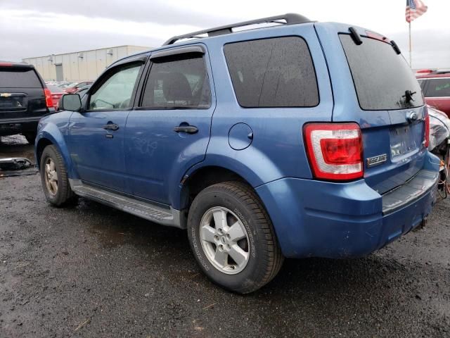 2009 Ford Escape XLT