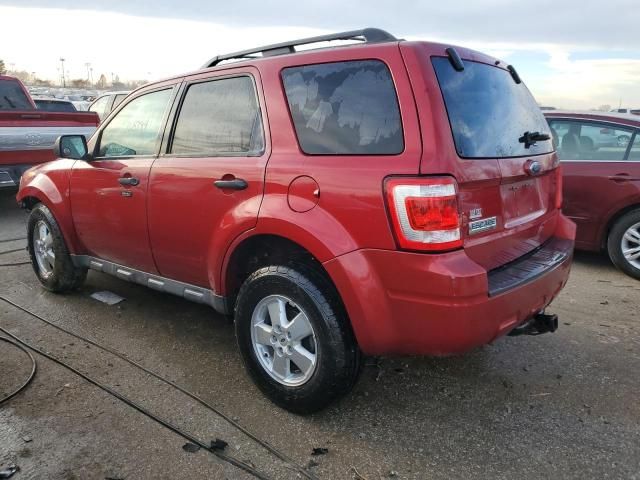 2009 Ford Escape XLT