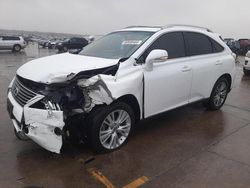 Salvage cars for sale at Grand Prairie, TX auction: 2013 Lexus RX 350