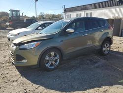 Salvage cars for sale at Savannah, GA auction: 2014 Ford Escape SE