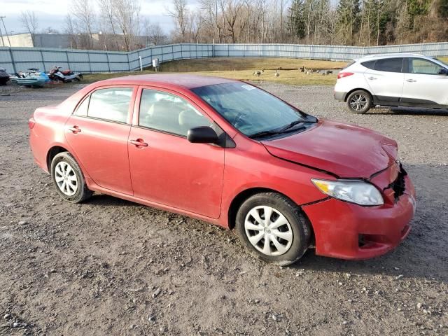 2010 Toyota Corolla Base