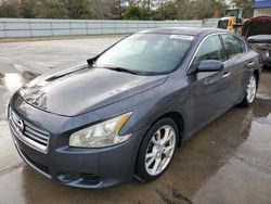 Salvage cars for sale from Copart Savannah, GA: 2012 Nissan Maxima S