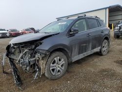 Salvage cars for sale from Copart Helena, MT: 2016 Toyota Rav4 LE