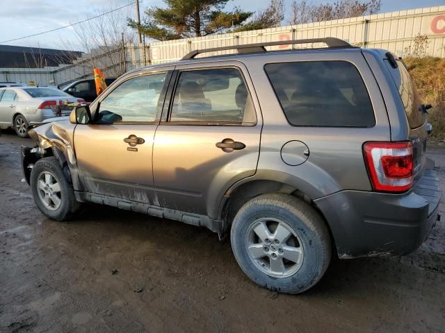 2009 Ford Escape XLT