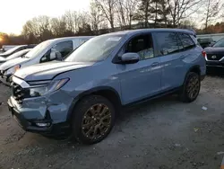 Salvage cars for sale at North Billerica, MA auction: 2023 Honda Passport EXL