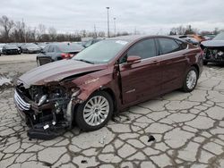 Salvage cars for sale at Fort Wayne, IN auction: 2015 Ford Fusion SE Hybrid