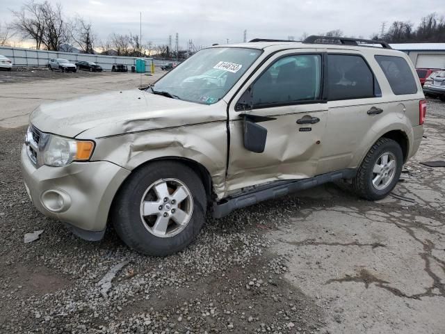 2011 Ford Escape XLT