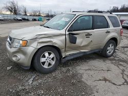 Salvage cars for sale at West Mifflin, PA auction: 2011 Ford Escape XLT