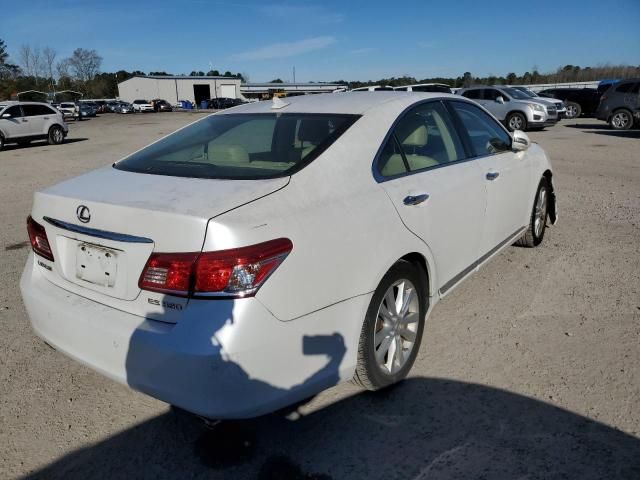 2010 Lexus ES 350