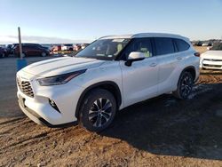 Salvage cars for sale from Copart Amarillo, TX: 2021 Toyota Highlander XLE