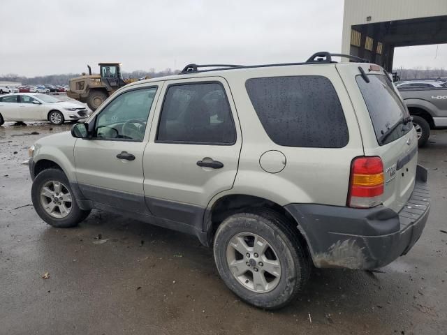 2006 Ford Escape XLT