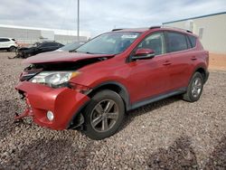 Salvage cars for sale at Phoenix, AZ auction: 2014 Toyota Rav4 XLE