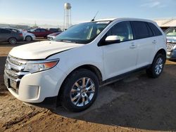 Salvage cars for sale from Copart Phoenix, AZ: 2014 Ford Edge SEL