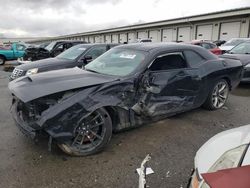Salvage cars for sale at Louisville, KY auction: 2019 Dodge Challenger R/T