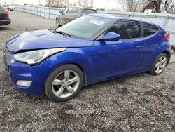Salvage cars for sale from Copart London, ON: 2012 Hyundai Veloster