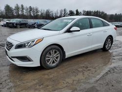 Salvage cars for sale at Finksburg, MD auction: 2016 Hyundai Sonata SE