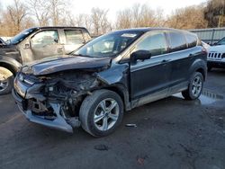 Salvage cars for sale at Ellwood City, PA auction: 2016 Ford Escape SE
