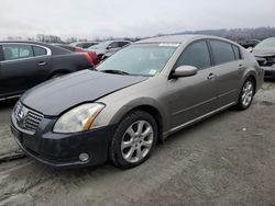 Nissan Maxima SE salvage cars for sale: 2007 Nissan Maxima SE