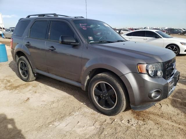 2011 Ford Escape XLT