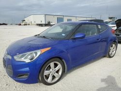 Salvage cars for sale from Copart Haslet, TX: 2013 Hyundai Veloster