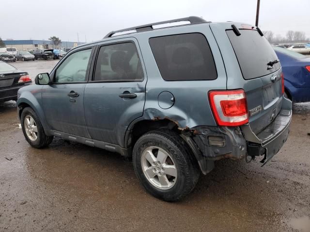 2011 Ford Escape XLT