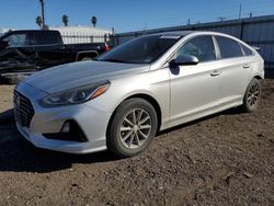 Hyundai Sonata SE salvage cars for sale: 2019 Hyundai Sonata SE