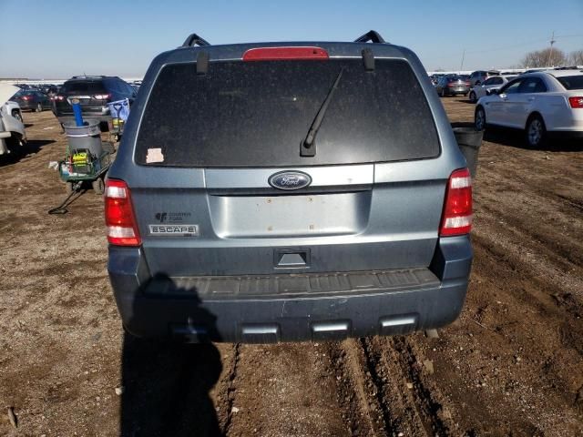 2010 Ford Escape XLT