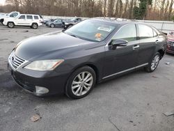 Lexus ES 350 salvage cars for sale: 2010 Lexus ES 350