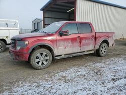 Salvage cars for sale from Copart Helena, MT: 2014 Ford F150 Supercrew