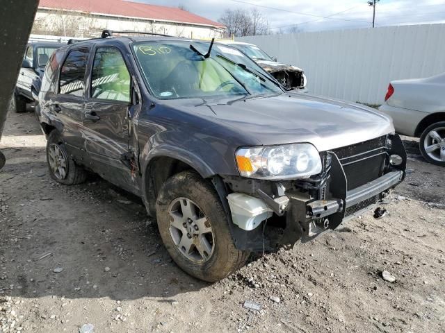 2005 Ford Escape Limited