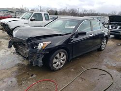 Salvage cars for sale at Louisville, KY auction: 2010 Honda Accord EX
