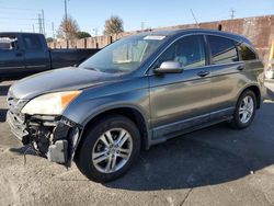 Honda salvage cars for sale: 2010 Honda CR-V EXL