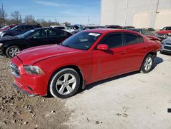 Salvage cars for sale at Lawrenceburg, KY auction: 2013 Dodge Charger SE