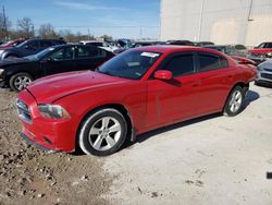 Dodge Charger salvage cars for sale: 2013 Dodge Charger SE