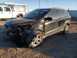 Salvage cars for sale at Greenwood, NE auction: 2018 Ford Escape SEL