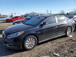 Salvage cars for sale from Copart Hillsborough, NJ: 2016 Hyundai Sonata Hybrid