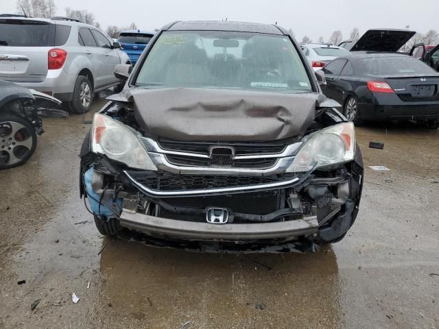 2010 Honda CR-V EXL