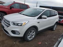 Hail Damaged Cars for sale at auction: 2019 Ford Escape SE