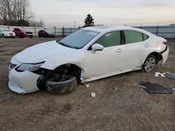 2014 Lexus ES 350 for sale in Portland, MI