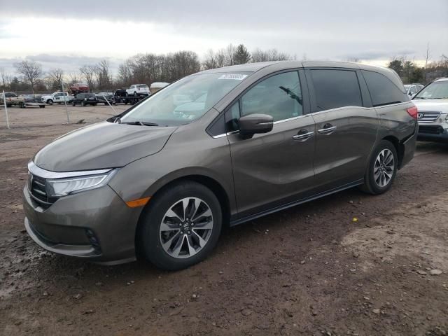 2022 Honda Odyssey EXL