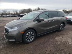 Honda salvage cars for sale: 2022 Honda Odyssey EXL