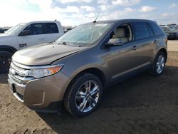 Ford Edge salvage cars for sale: 2013 Ford Edge SEL