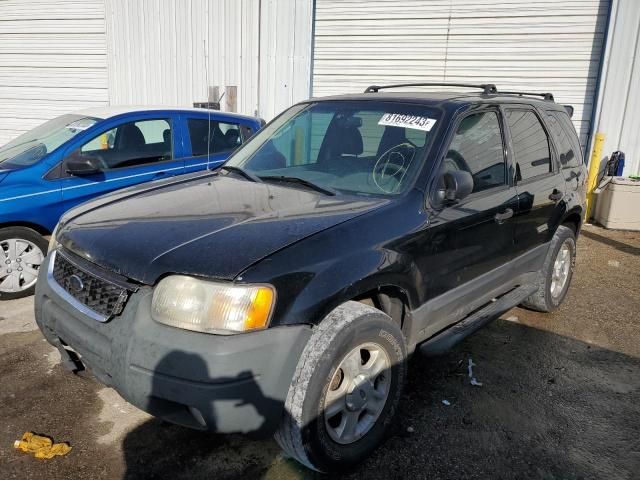 2003 Ford Escape XLT