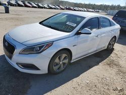 Salvage cars for sale from Copart Harleyville, SC: 2017 Hyundai Sonata Hybrid